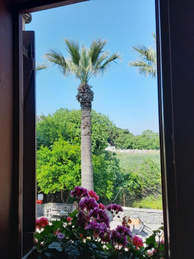 Casa Callinos Panzió Selçuk Kültér fotó