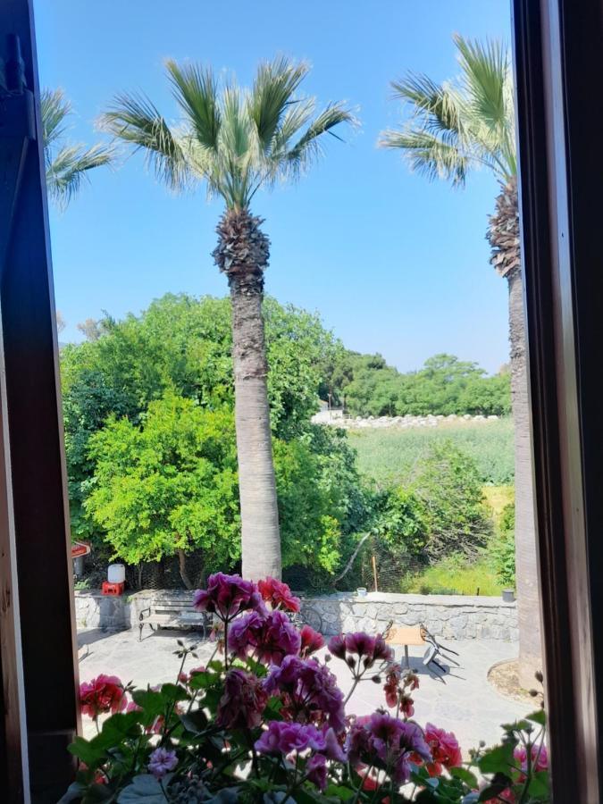 Casa Callinos Panzió Selçuk Kültér fotó